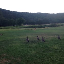 Trinity Alps Golf Club - Common scene while playing golf