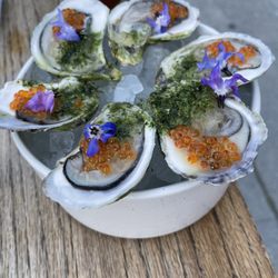 Ceviche Project