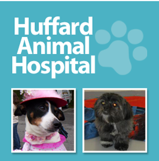HUFFARD ANIMAL HOSPITAL - Updated February 2026 - 39 Photos & 112
