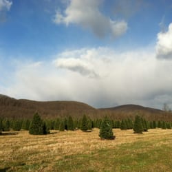 Evergreen Valley Christmas Tree Farm