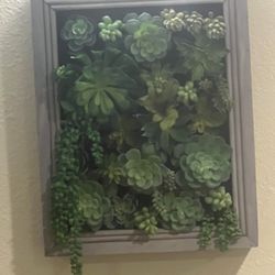Grand Villa of Boynton Beach - Living wall