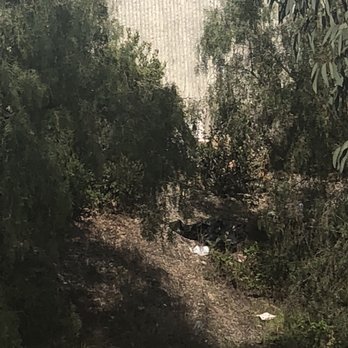 Eucalyptus Grove Apartments - homeless camp feet away from the back area... management does NOTHING because they care nothin about public safety - Apartments Near Me - Chula Vista, California Eucalyptus Grove Apartments - homeless camp feet away from the back area... management does NOTHING because they care nothin about public safety - Apartments Near Me - Chula Vista, California