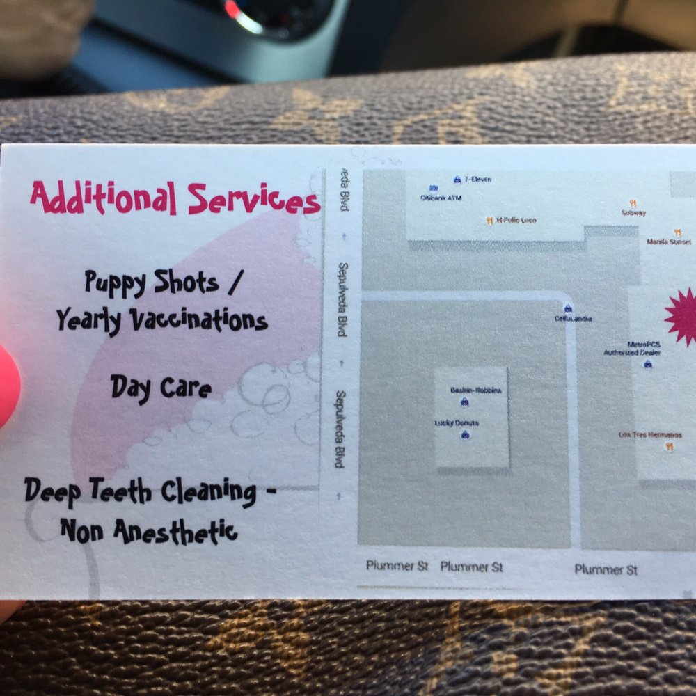 Pet Cuts - Pet Groomers Near Me - North Hills, California Pet Cuts - Pet Groomers Near Me - North Hills, California