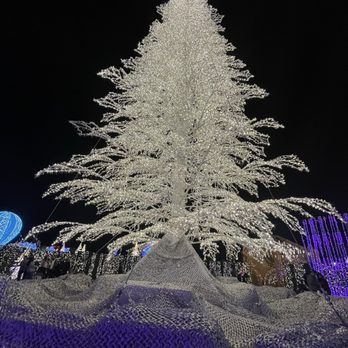 Enchant - Festivals Near Me - Arcadia, California