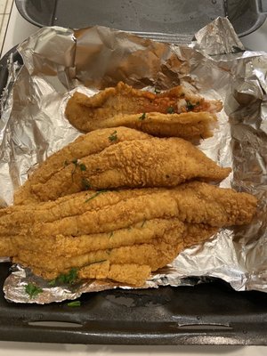 Albany Fish Company by null