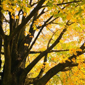 Libby Hill Park - Parks Near Me - Richmond, Virginia