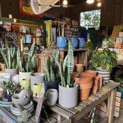 Roots and Shoots Nursery