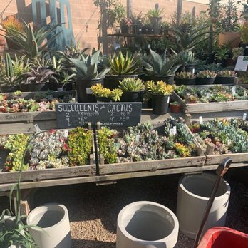 Flowerland - Succulents - Nurseries & Gardening Near Me - Albany, California Flowerland - Succulents - Nurseries & Gardening Near Me - Albany, California