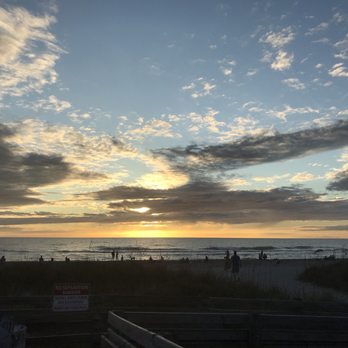 Brohard Paw Park & Beach - Pretty large beach area - Dog Parks Near Me - Venice, Florida