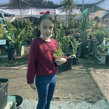 Ricardo's Nursery - Recardo nursery - Nurseries & Gardening Near Me - Long Beach, California Ricardo's Nursery - Recardo nursery - Nurseries & Gardening Near Me - Long Beach, California