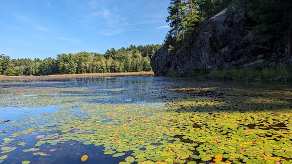 Killarney Provincial Park by null