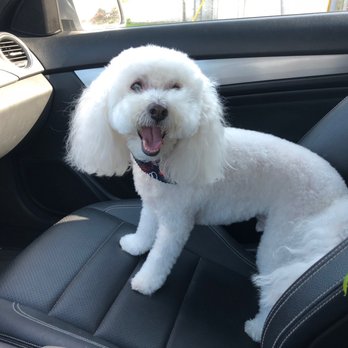 Wishbone Pet Care - Pet Groomers Near Me - Missouri City, Texas