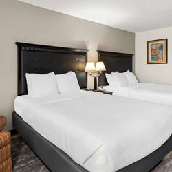 Best Western Saluki Inn - Double Queen