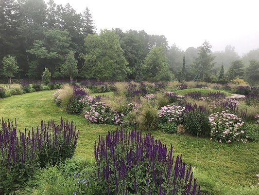 Mountain Top Arboretum by null