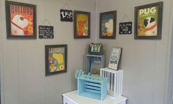 chocolate avenue grooming salon