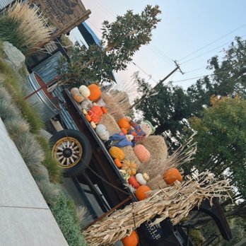 Bogle Vineyards - Adorable Fall decor as you approach the entrance from the parking lot area. - Wineries Near Me - Clarksburg, California Bogle Vineyards - Adorable Fall decor as you approach the entrance from the parking lot area. - Wineries Near Me - Clarksburg, California
