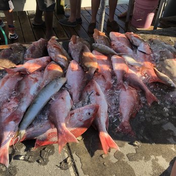 Gulfstream Fishing Charters - Boating Near Me - Clearwater Beach, Florida Gulfstream Fishing Charters - Boating Near Me - Clearwater Beach, Florida