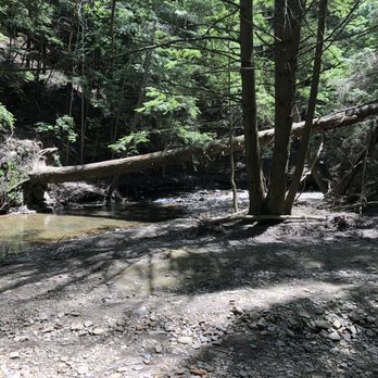 Salt Springs State Park - Some good Thai food if I've ever heard it. - Parks Near Me - Montrose, Pennsylvania Salt Springs State Park - Some good Thai food if I've ever heard it. - Parks Near Me - Montrose, Pennsylvania