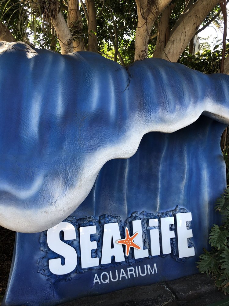 SEA LIFE AQUARIUM 921 Photos & 257 Reviews Aquariums 1 Legoland