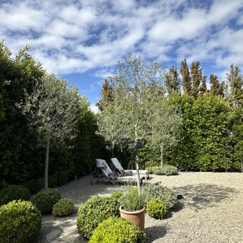 Verde Scapes Landscaping & Tree Services - Tree Services Near Me - Costa Mesa, California Verde Scapes Landscaping & Tree Services - Tree Services Near Me - Costa Mesa, California