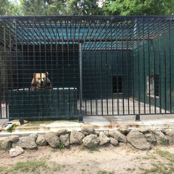 Tregembo Animal Park - Zoos Near Me - Wilmington, North Carolina Tregembo Animal Park - Zoos Near Me - Wilmington, North Carolina