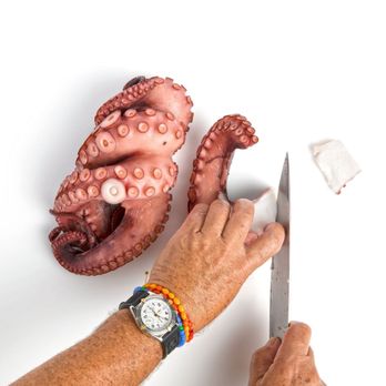 Gullo Specialty Foods - a person cutting an octopus - Seafood Markets Near Me - Westbury, New York Gullo Specialty Foods - a person cutting an octopus - Seafood Markets Near Me - Westbury, New York
