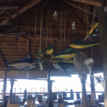 Sunglass Hut - Awesome hanging fish in the bar outside - Sunglasses Near Me - Islamorada, Florida Sunglass Hut - Awesome hanging fish in the bar outside - Sunglasses Near Me - Islamorada, Florida