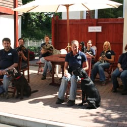 Royvon Dog Training and Hotels - Surrey Team