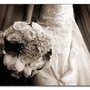 Photo of Albert Lau Photography