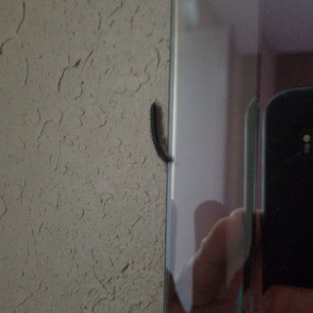 Quality Inn - Bugs found in our room. After complaining about it we were accused of making it up to get a discount on the room. Horrible customer service. - Hotels Near Me - Hillsville, Virginia Quality Inn - Bugs found in our room. After complaining about it we were accused of making it up to get a discount on the room. Horrible customer service. - Hotels Near Me - Hillsville, Virginia