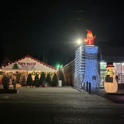 Tim's Christmas Trees - Christmas Tree lot!