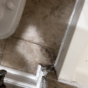 Queens of Clean - Home Cleaning Near Me - Oak Forest, Illinois Queens of Clean - Home Cleaning Near Me - Oak Forest, Illinois