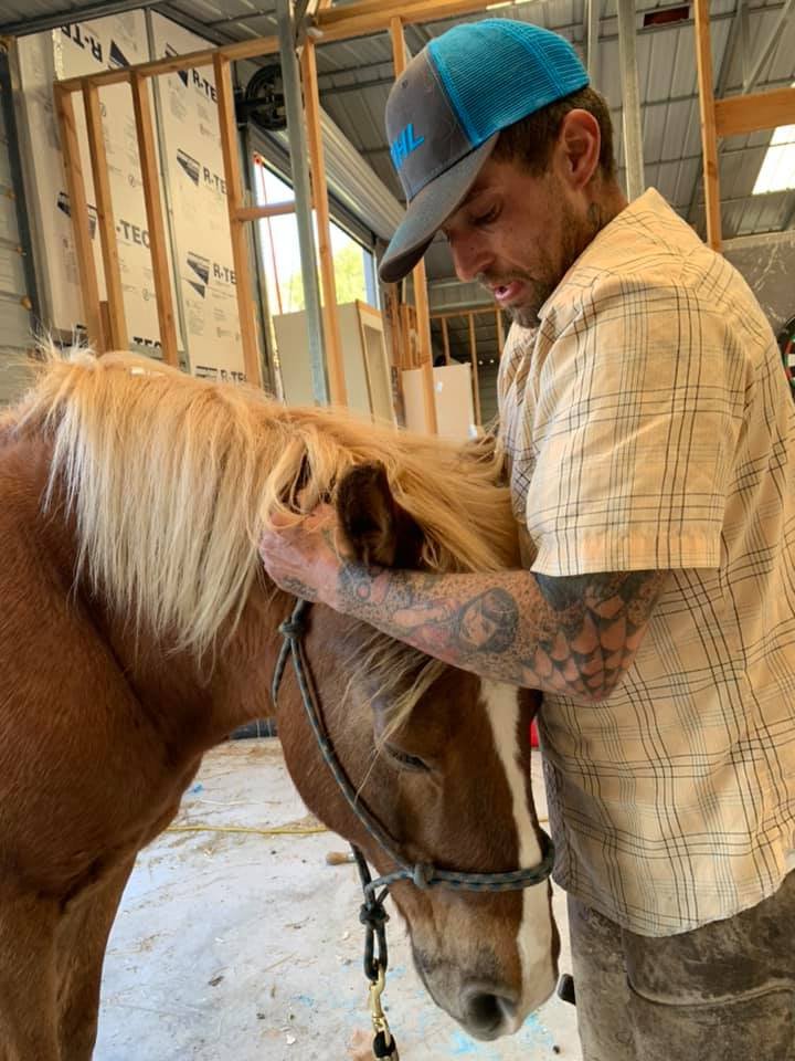 ALAN TOWNLEY CERTIFIED FARRIER Updated September 2024 13 Photos