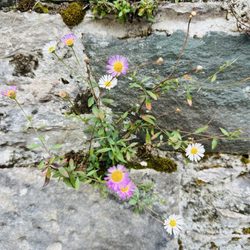 Killarney National Park - 9/2025