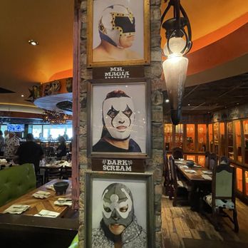 Rocco's Tacos & Tequila Bar - They love wrestling here - Mexican Near Me - Orlando, Florida Rocco's Tacos & Tequila Bar - They love wrestling here - Mexican Near Me - Orlando, Florida
