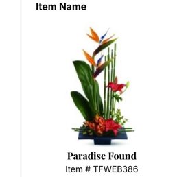 bird of paradise
