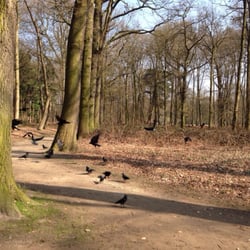 Nachtegalenpark - Kraaien & kauwen tijdens brood festijn