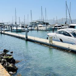 Lydia Akhzar Acupuncture and Herbal Medicine - The Marina at Fort Mason.
