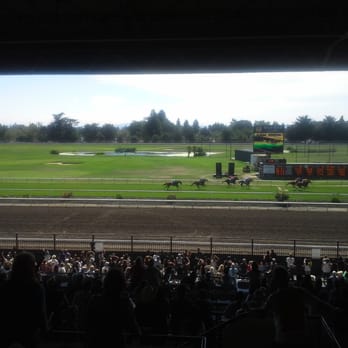 Sonoma County Fair - The end of a grass horse race - Festivals Near Me - Santa Rosa, California