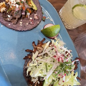 Puesto Concord - Mushroom or Pozole Taco and Carnitas Taco - Mexican Near Me - Concord, California Puesto Concord - Mushroom or Pozole Taco and Carnitas Taco - Mexican Near Me - Concord, California