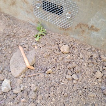 AA-Beekeeper - Sealed entrance to the hive. - Pest Control Near Me