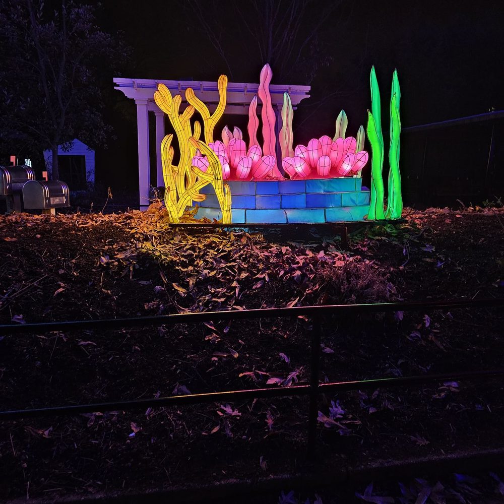 ZooLights - Zoos Near Me - Washington, DC, District of Columbia
