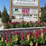 Photo of Young's Flower Shop & Greenhouse