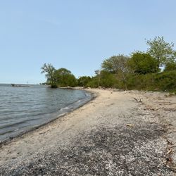 Sherod Park - Beach