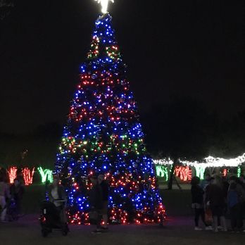 Largo Central Park - Christmas tree - Parks Near Me - Largo, Florida Largo Central Park - Christmas tree - Parks Near Me - Largo, Florida