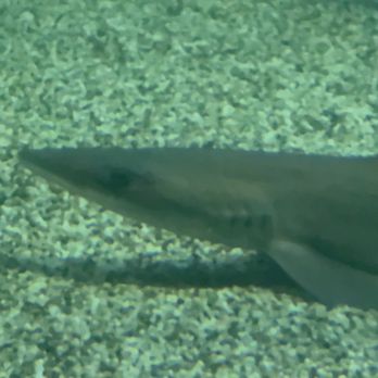 Ocean World - Aquariums Near Me - Crescent City, California