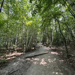 Pyramid Point Trail - Forest hike through the woods.