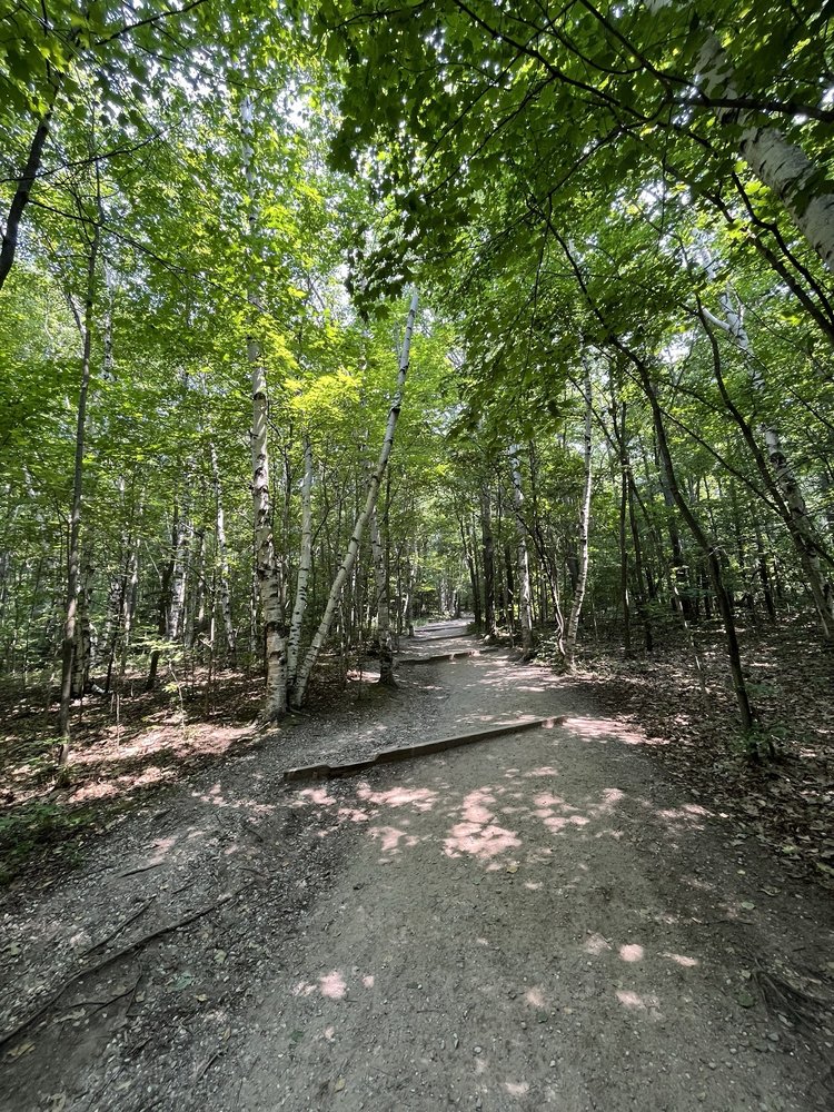 Pyramid Point Trail Logo