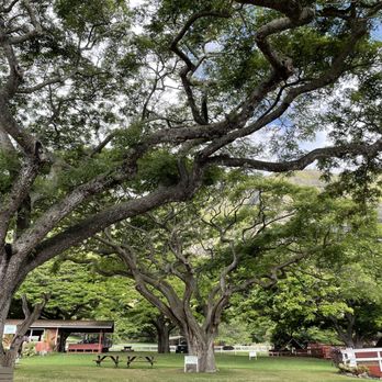 Kualoa Ranch - Tours Near Me - Kaneohe, Hawaii Kualoa Ranch - Tours Near Me - Kaneohe, Hawaii