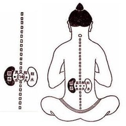 Downeast Acupuncture - Untitled